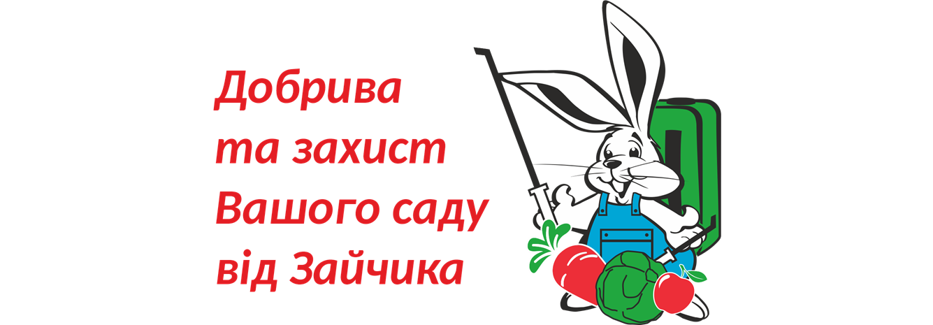Від зайчика Від зайчика
